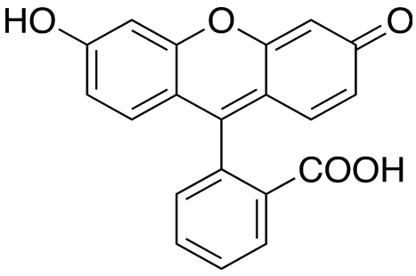 Fluorescein