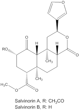 salvainorins A and B