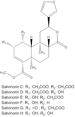 salvainorins C-H