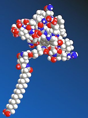 semaglutide space-fill model