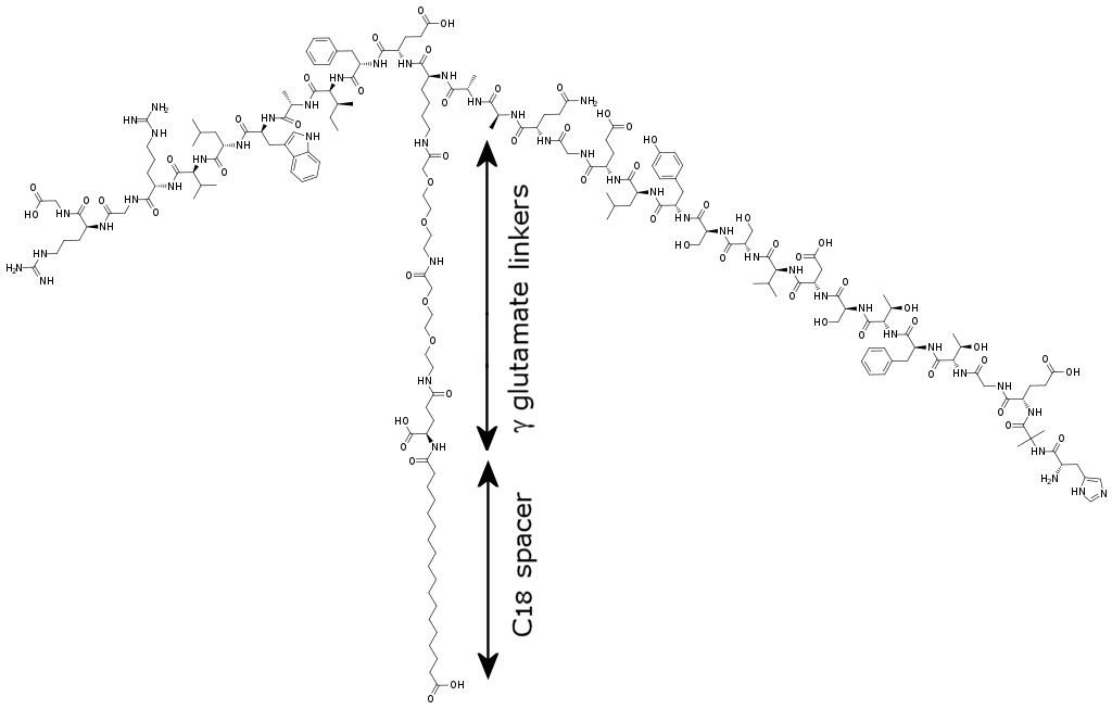 semaglutide