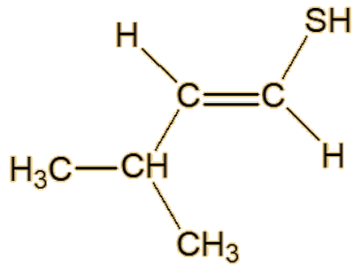 (E)-3-methyl-1-
butene-1-thiol