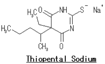 Structure of sodium thiopental - click for 3D VRML structure