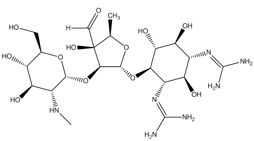 streptomycin