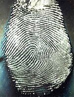 a latent fingerprint brought out using superglue