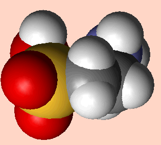 Taurine - space fill model