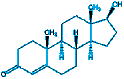 Testosterone