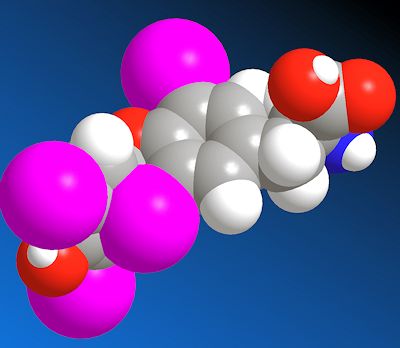 Spacefill model of thyroxine