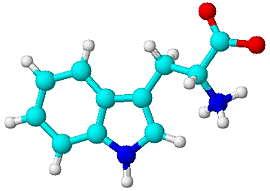 Tryptophan