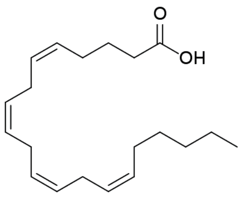 Arachidonic acid