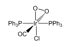 O2 adduct