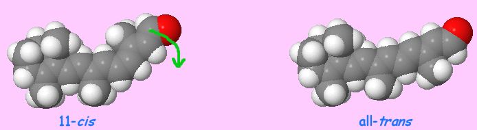 cis- to trans straightening