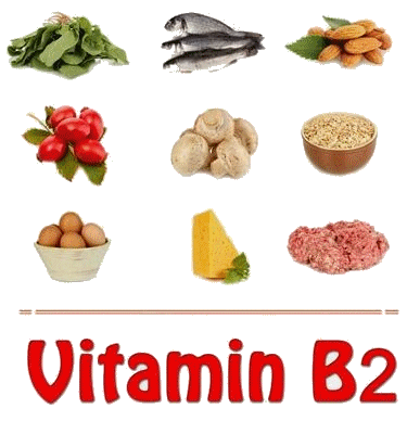 Foods rich in vitamin B2