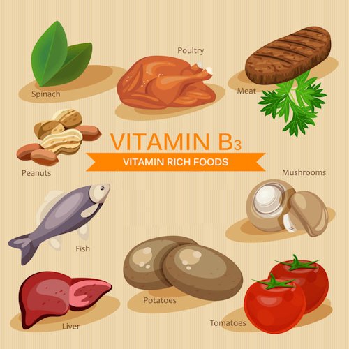 Foods rich in B3