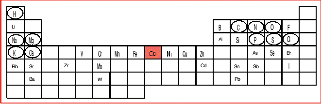 Biological Periodic Table