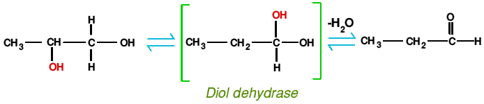 Diol dehydrase