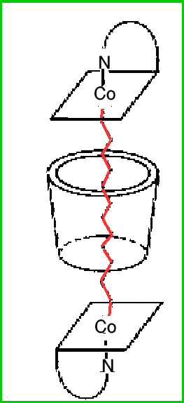 Rotaxane_B12