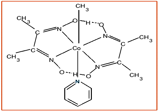 methyl cobaloxime
