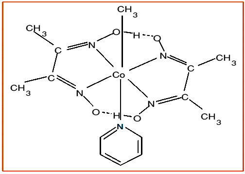 Porphyrin Ring And Its Importance - Principle Of Chemistry