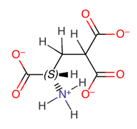 gammacarboxyglutamate