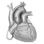 heart image