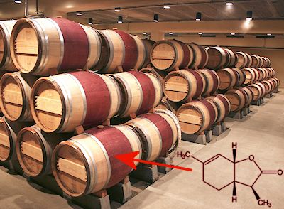 Wine barrels