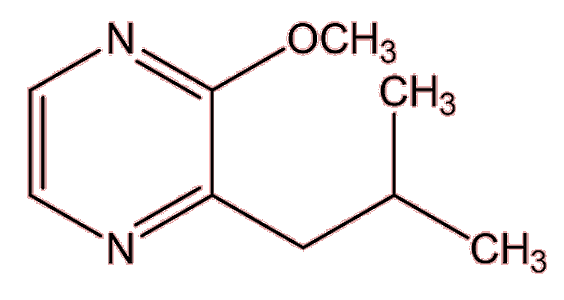 3-isobutyl-2-methoxypyrazine