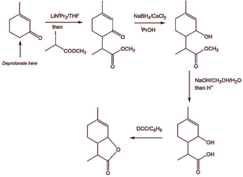 Synthesis of wine lactone