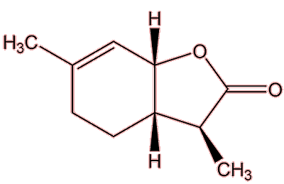 Wine lactone