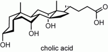 Cholic Acid