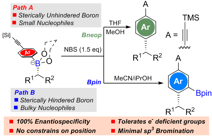 Alkynyl Moiety for Triggering 1,2-Metallate Shifts: Enantiospecific sp2-sp3 Coupling of Boronic Esters with p-Arylacetylenes