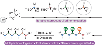 Iterative assembly line synthesis of polypropionates with full stereocontrol