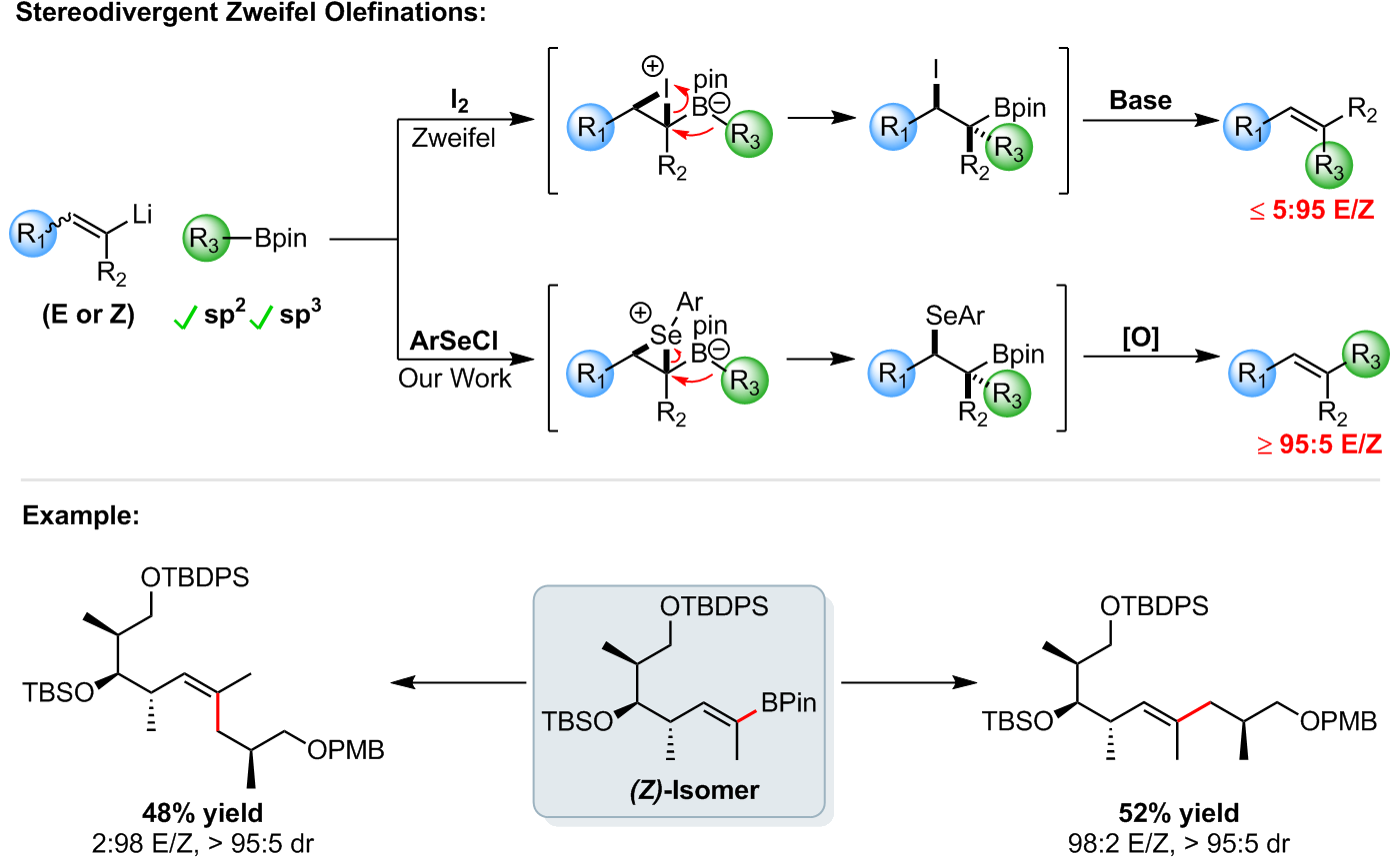 Stereodivergent Zweifel Olefinations