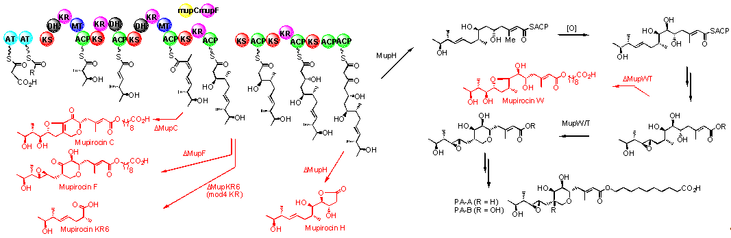 Scheme 3