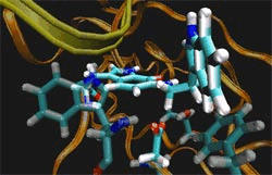 Modelling tunnelling in an enzyme