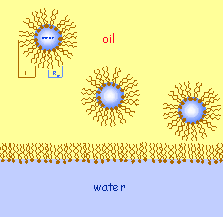 Surfactants at the oil/water interface