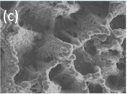 honeycomb electrode