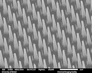 Nanostructured BDD electrode