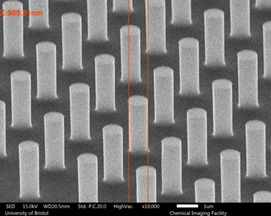 Nanocolumn electrode grids