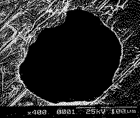 Fig.3.10