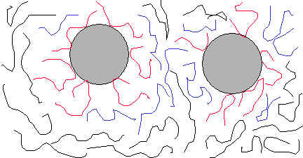 Silica with polymer