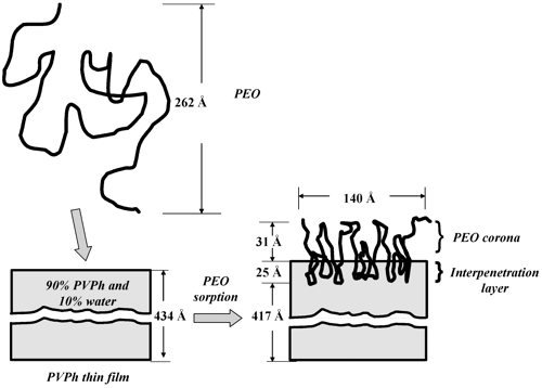 PEO adsorption