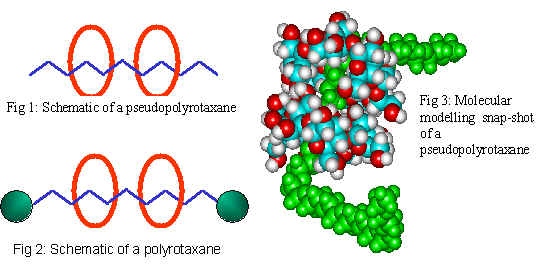 Schematics for polyrotoxanes