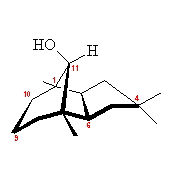 Apolloane