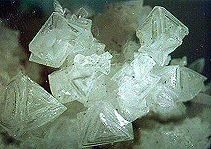 Arsenolite