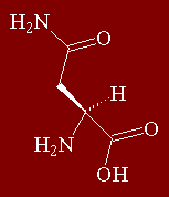 Aspargine