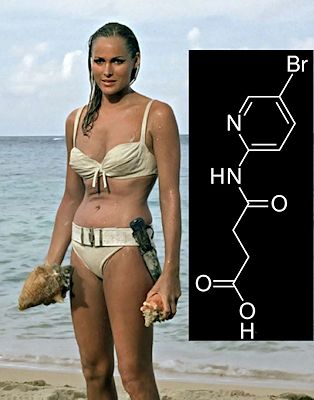Ursula Andress in a famous bikini from Dr No