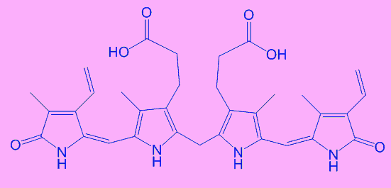 bilirubin