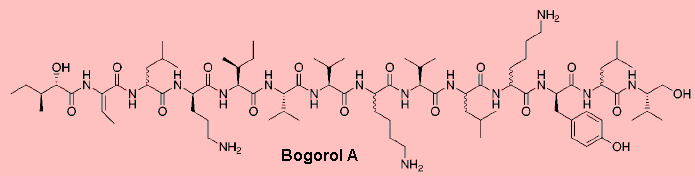 Bogorol, the molecule