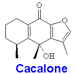 Cacalone